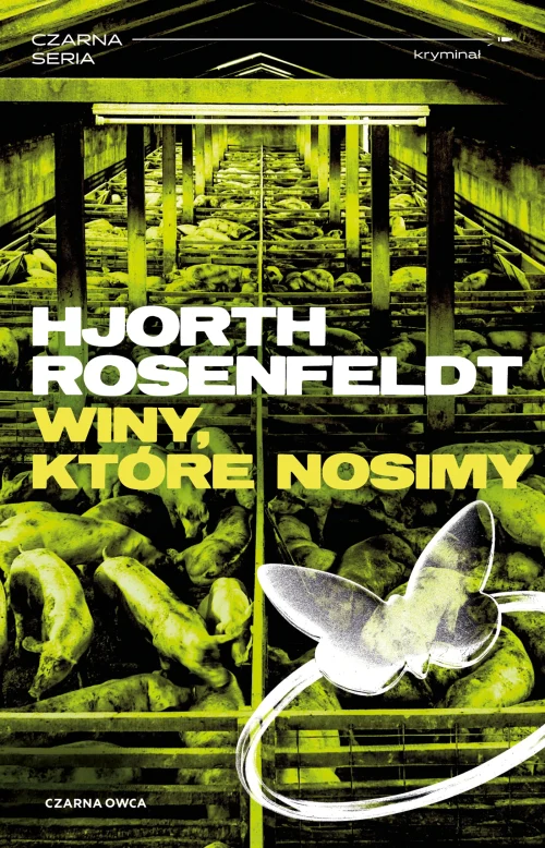 Sebastian Bergman. tom 8. Winy, które nosimy