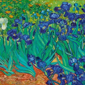 Puzzle 1000 elementów. Irysy, Vincent van Gogh, 1889