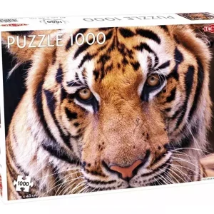 Puzzle 1000 Tygrys