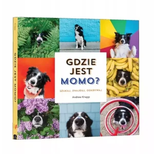 Gdzie jest Momo