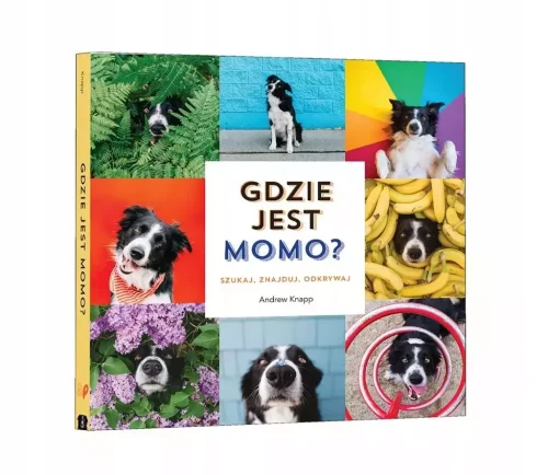 Gdzie jest Momo