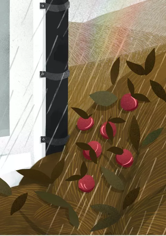 74c1a-prezent-z-nieba-12-his.webp Prezent z nieba. 12 historii od przyjaciela