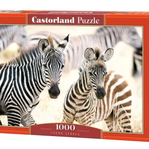 Puzzle 1000 Young Zebras CASTOR