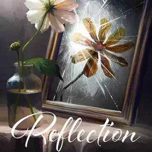 Reflection