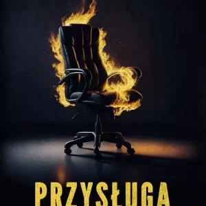 Przysługa
