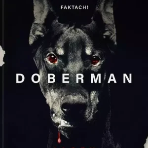 Doberman