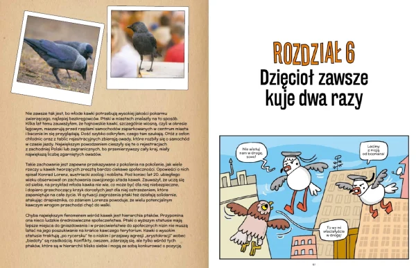 Detektyw Wróbel i złamane pióro