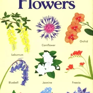 199 Flowers