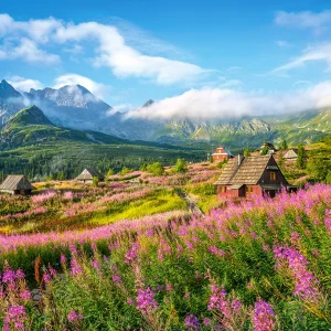 97-puzzle-1000-elementow-hal.webp Puzzle 1000 elementów. Hala Gąsienicowa