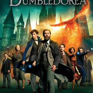Fantastyczne zwierzęta: Tajemnice Dumbledore'a, DVD