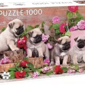 Puzzle 1000 Puppy Pugs