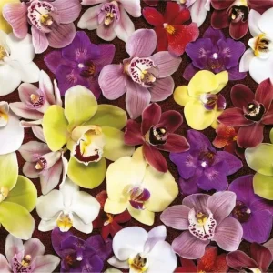 Educa Puzzle 1000 Storczyki