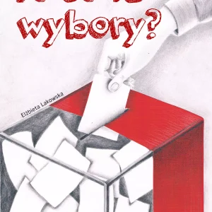 Po co te wybory?
