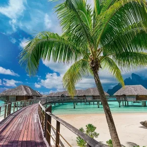 Puzzle 1000 elementów. Paradise Beach, Bora-Bora