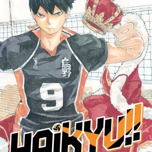 Haikyu!! Tom 8