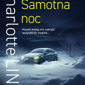 Samotna noc