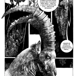 Toppi Kolekcja | Zaczarowany świat | Tom 1 dzieł Sergia Toppiego