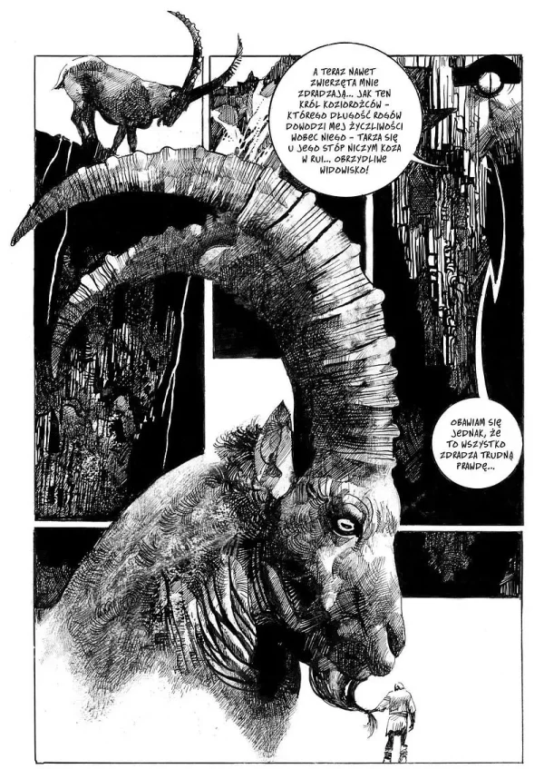 Toppi Kolekcja | Zaczarowany świat | Tom 1 dzieł Sergia Toppiego