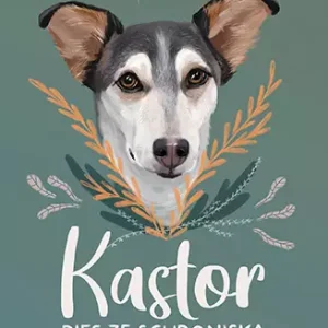 Kastor. Pies ze schroniska