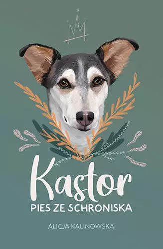 ba2a8b3-kastor-pies-ze-schro.webp Kastor. Pies ze schroniska