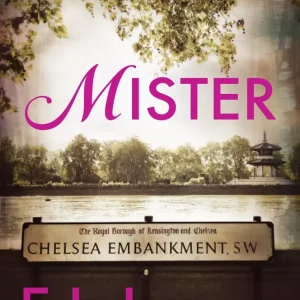 Mister | E L James | Romans pełen tajemnic i namiętności