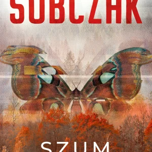 Granice ryzyka. Szum