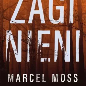 Zaginieni, książka papierowa