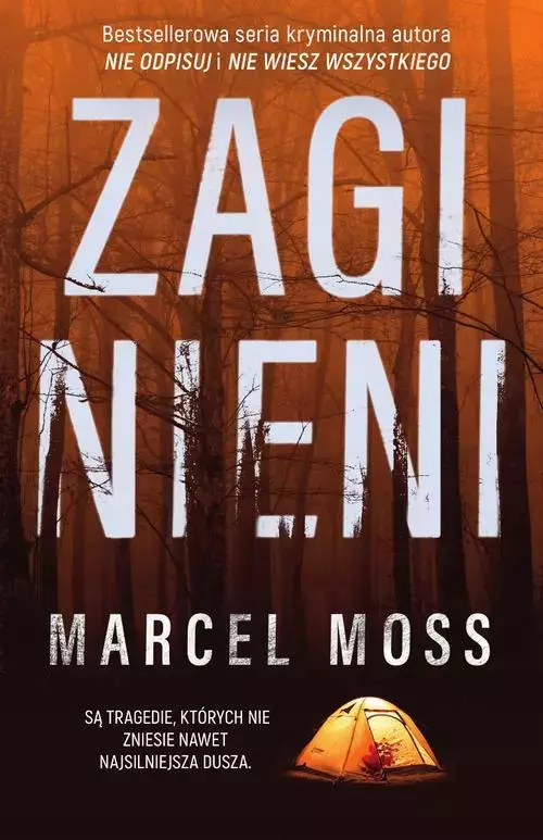 Zaginieni, książka papierowa