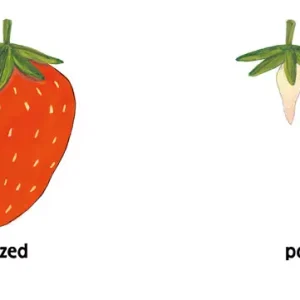 Pomelo i przeciwieństwa