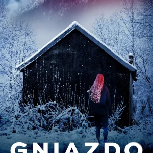 Gniazdo