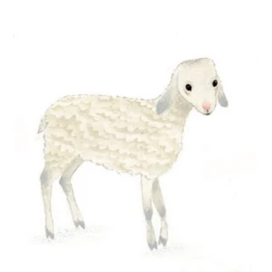 Franciszek, Klara i Antoni