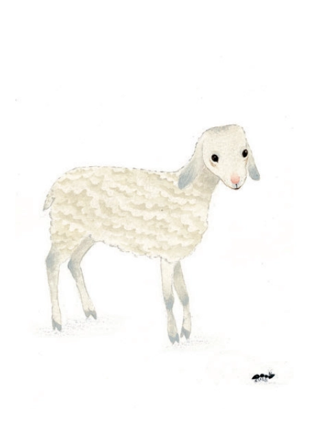 Franciszek, Klara i Antoni