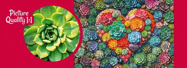 Puzzle 1000 elementów.  Kształt miłości 30981