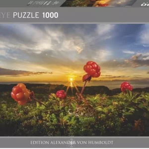 Puzzle 1000 Malina Nordycka z zachodem słońca