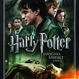 Harry Potter i Insygnia Śmierci. Część 2, 2 DVD