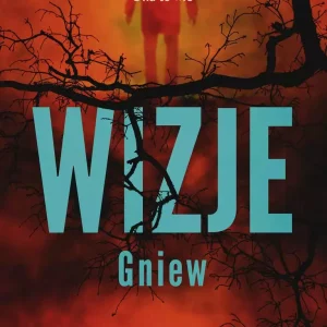 Wizje