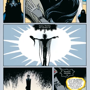 Sandman. Tom 9. Panie łaskawe