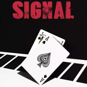 Signal