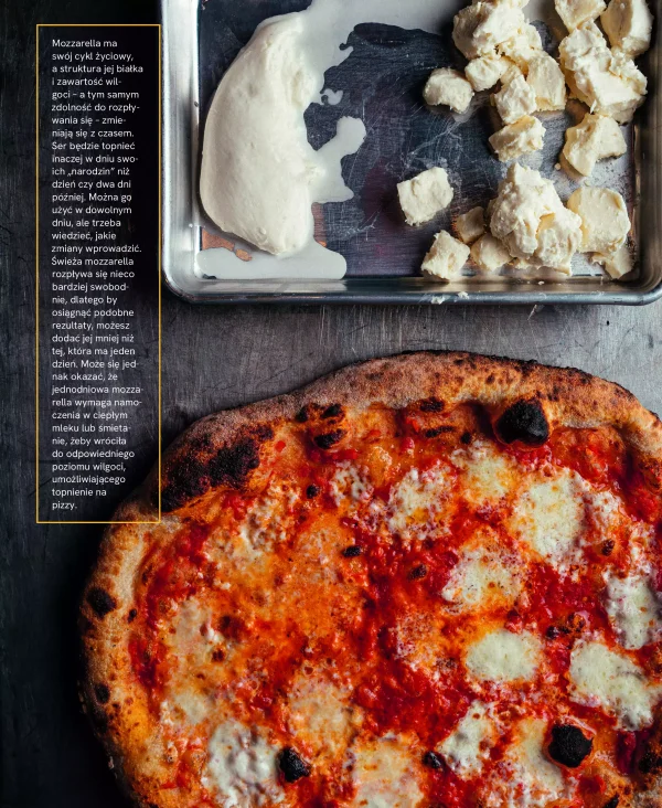 Pizza. Przepisy i techniki znanego pizzaiolo