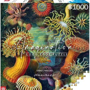 Puzzle 1000 Ernst Haeckel: Stworzenia morskie