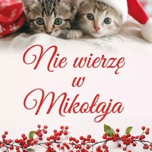 Nie wierzę w Mikołaja