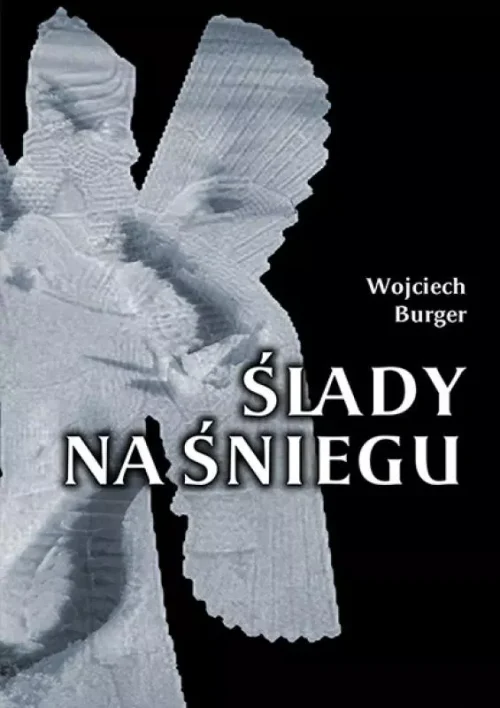 Ślady na śniegu