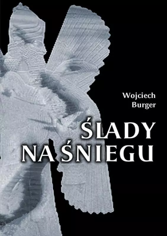 Ślady na śniegu