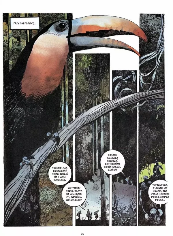 Toppi | Kolekcja | Tom 3 | Ameryka Południowa – komiks artystyczny o legendach i historii kontynentu