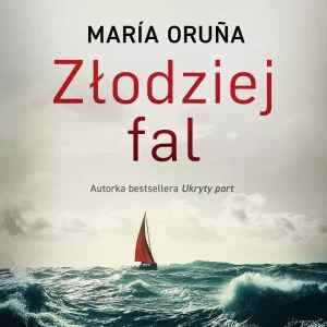 Złodziej fal