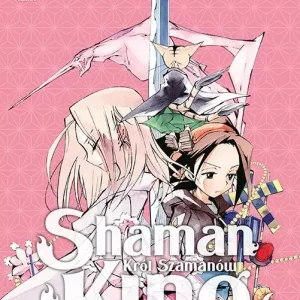 Shaman King. Tom 19