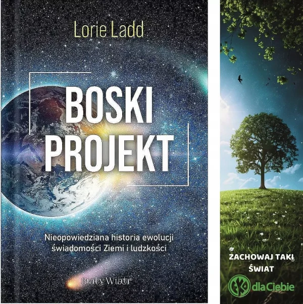 Boski projekt