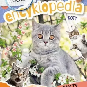 Koty. Mała encyklopedia