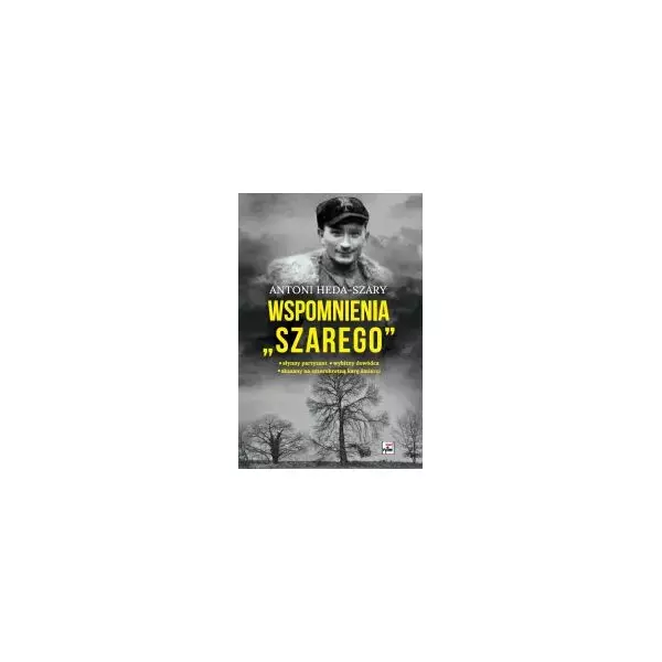 64bf4d8b-wspomnienia-szarego.webp Wspomnienia Szarego