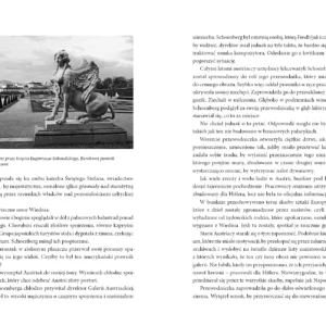 Złota dama. Gustav Klimt i tajemnica wiedeńskiej Mona Lisy